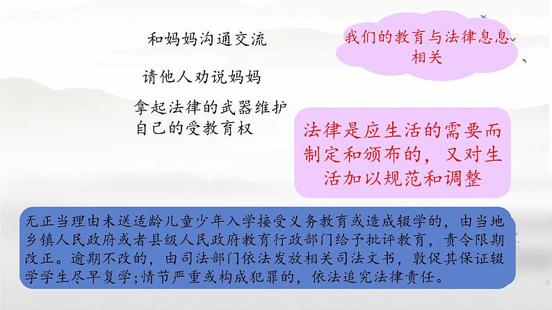 9.1 生活需要法律 课件-2023-2024学年统编版道德与法治七年级下册 (2)第3页