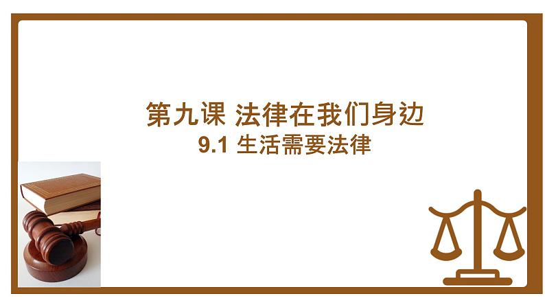 9.1 生活需要法律 课件-2023-2024学年统编版道德与法治七年级下册 (3)03