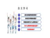 3.1+青春飞扬+课件2023-2024学年统编版道德与法治七年级下册