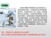 6.1 集体生活邀请我（课件）- 七年级道德与法治下册 （部编版）