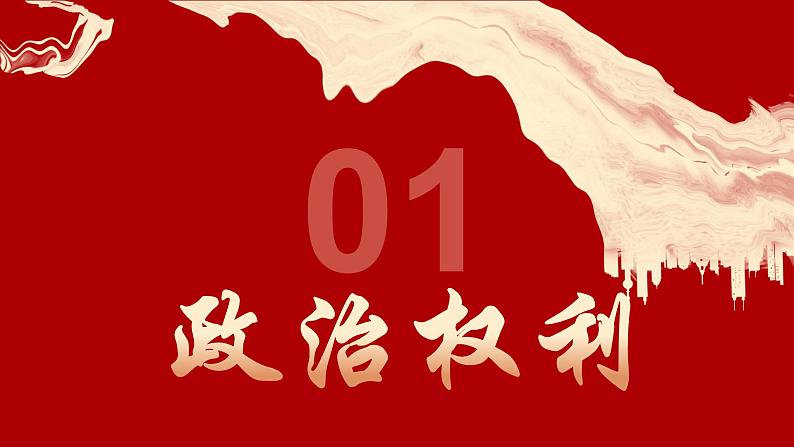 3.1公民基本权利  （课件）八年级下册道德与法治 统编版第4页