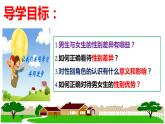 2.1+男生女生+课件-2023-2024学年统编版道德与法治七年级下册