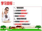 4.1+青春的情绪+课件-2023-2024学年统编版道德与法治七年级下册 (2)