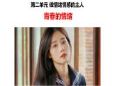 4.1+青春的情绪+课件-2023-2024学年统编版道德与法治七年级下册 (1)