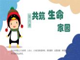 部编版道德与法治九年级上册 6.2 共筑生命家园课件