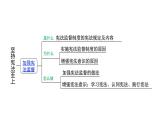 2.2+加强宪法监督+课件-2023-2024学年统编版道德与法治八年级下册