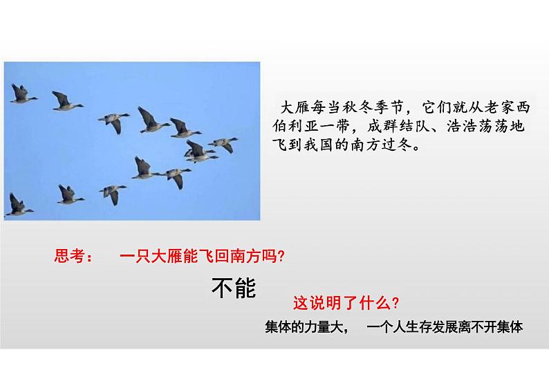 6.1+集体生活邀请我+课件-2023-2024学年统编版道德与法治七年级下册 (2)第1页