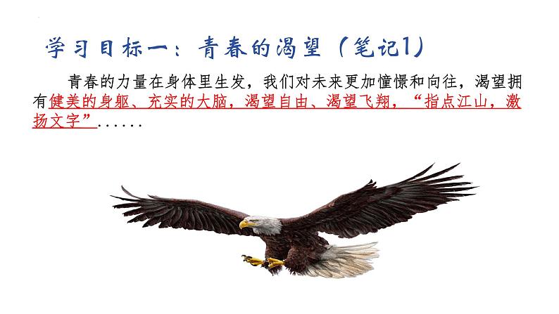 3.1+青春飞扬+课件-2023-2024学年统编版道德与法治七年级下册第6页