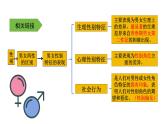 2.1+男生女生+课件-2023-2024学年统编版道德与法治七年级下册 (2)
