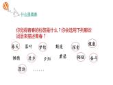 3.1+青春飞扬+课件-+2023-2024学年统编版道德与法治七年级下册 (1)