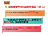 2.1+男生女生+课件-2023-2024学年统编版道德与法治七年级下册 (2)