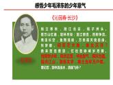 3.1青春飞扬+课件-2023-2024学年统编版道德与法治七年级下册