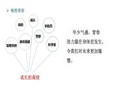 3.1+青春飞扬+课件-2023-2024学年统编版道德与法治七年级下册