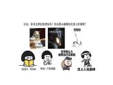 3.1青春飞扬++课件-2023-2024学年统编版道德与法治七年级下册