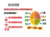 3.1+青春飞扬+课件2023-2024学年统编版道德与法治七年级下册