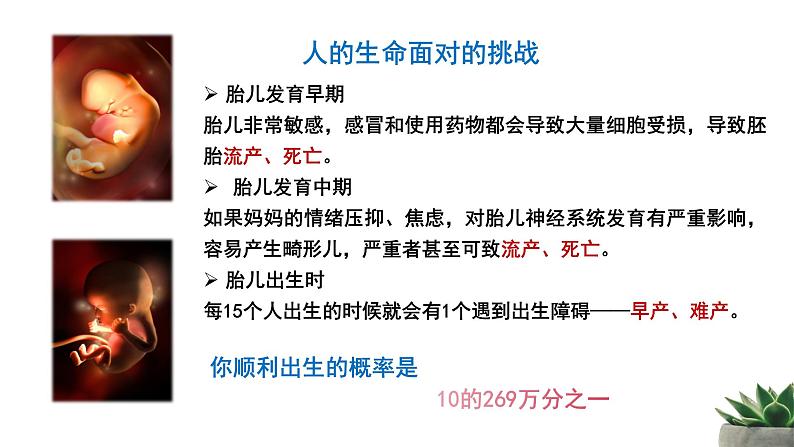 部编版初中道法7上 第3单元 珍爱我们的生命 3.8.1 认识生命 课件+教案+导学案+练习题07