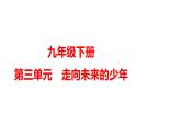 第三单元+走向未来的少年+复习课件+-2023-2024学年统编版道德与法治九年级下册