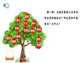 3.1+青春飞扬+课件+2023-2024学年统编版道德与法治七年级下册