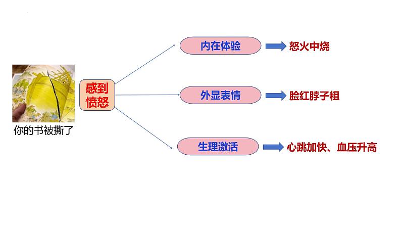 4.1+青春的情绪+课件-2023-2024学年统编版道德与法治七年级下册第7页