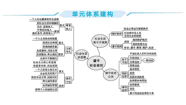 第二单元+遵守社会规则+复习课件-2023-2024学年统编版道德与法治八年级上册02