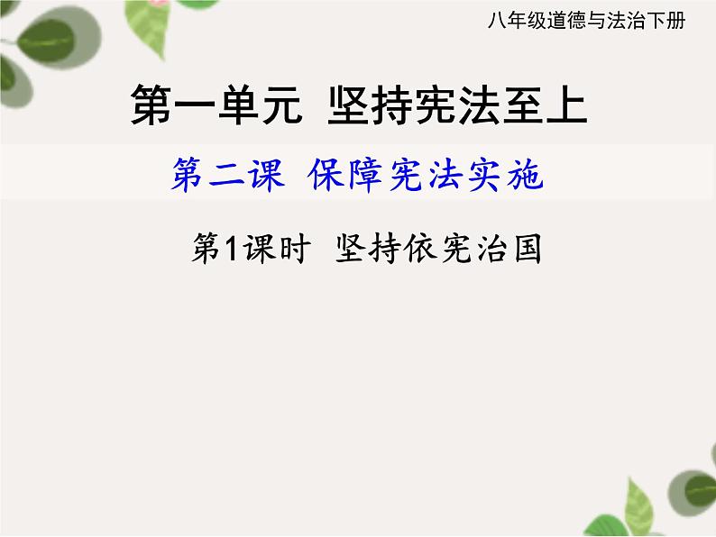 2.1+坚持依宪治国+课件-2023-2024学年统编版道德与法治八年级下册第1页