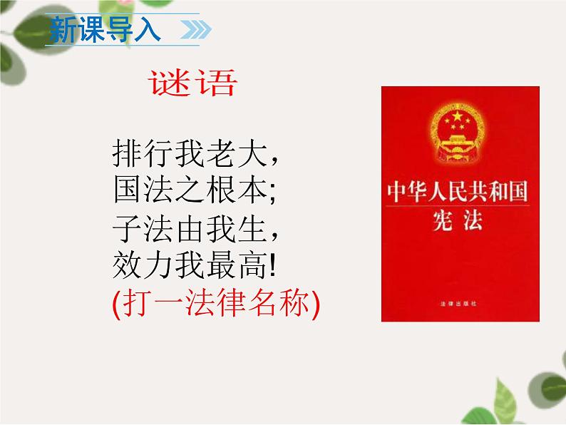 2.1+坚持依宪治国+课件-2023-2024学年统编版道德与法治八年级下册第2页