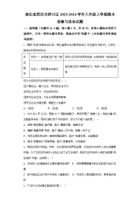 湖北省武汉市硚口区2023-2024学年八年级上学期期末 道德与法治试题（含解析）