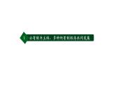 5.3+基本经济制度+课件-2023-2024学年统编版道德与法治八年级下册