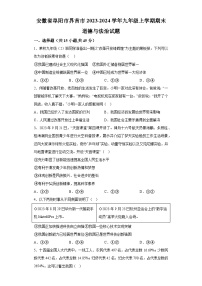 安徽省阜阳市界首市2023-2024学年九年级上学期期末 道德与法治试题（含解析）