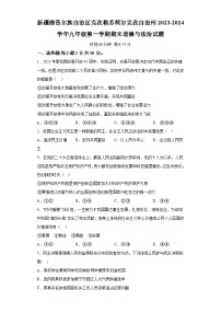 新疆维吾尔自治区克孜勒苏柯尔克孜自治州2023-2024学年九年级上学期期末 道德与法治试题（含解析）