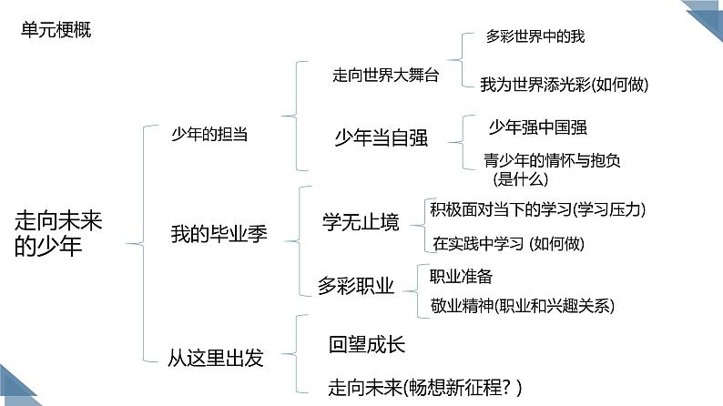 九下第三单元复习课《走向未来的少年》课件04