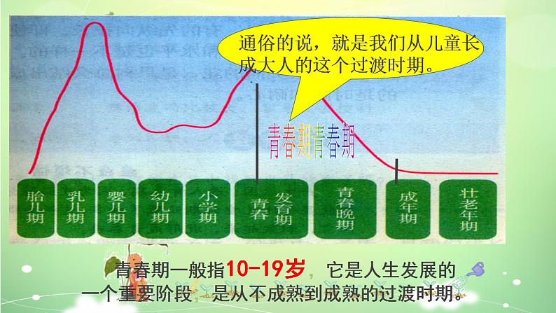 【大单元教学】2024年春部编版道德与法治七年级下册 1.1.1悄悄变化的我（课件+教案+学案+练习）02