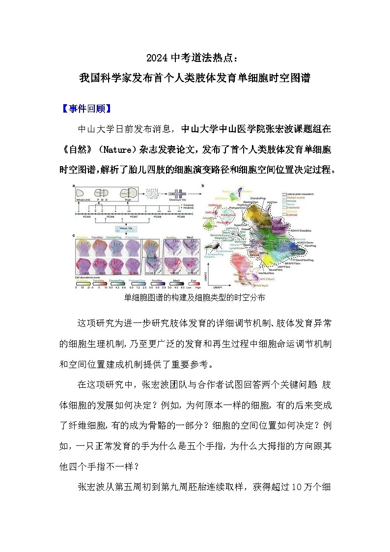 2024年中考道德与法治二轮热点专题：我国科学家发布首个人类肢体发育单细胞时空图谱第1页