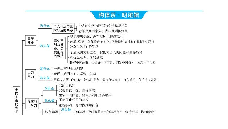 2024河南中考道德与法治一轮复习九年级下册第三单元 走向未来的少年课件03