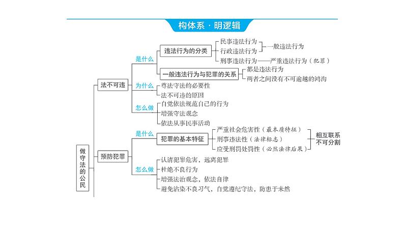 2024河南中考道德与法治一轮复习八年级上册第五课 做守法的公民课件第3页