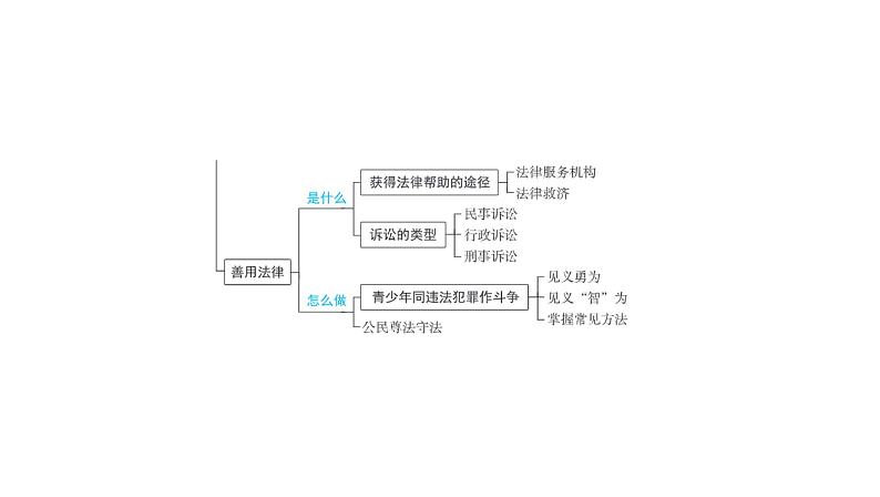 2024河南中考道德与法治一轮复习八年级上册第五课 做守法的公民课件第4页