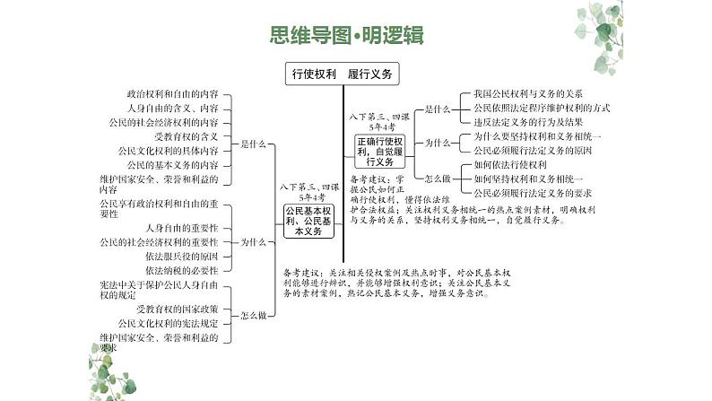 2024年广东中考道德与法治一轮总复习课件 专题二 行使权利 履行义务第4页