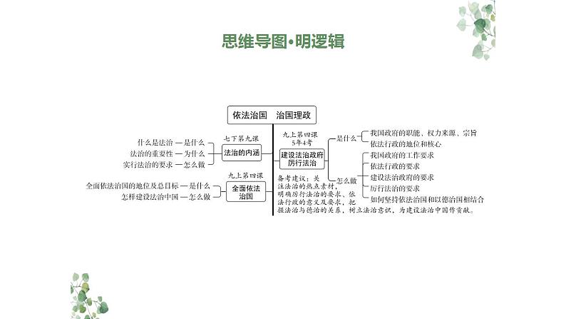 2024年广东中考道德与法治一轮总复习课件 专题三  依法治国  治国理政第4页