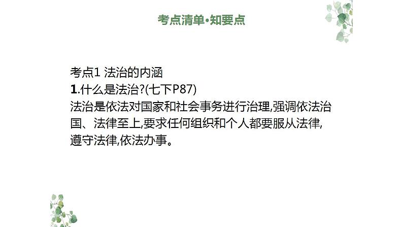 2024年广东中考道德与法治一轮总复习课件 专题三  依法治国  治国理政第5页