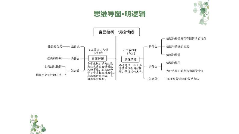 2024年广东中考道德与法治一轮总复习课件 专题三 直面挫折  情绪与情感第3页