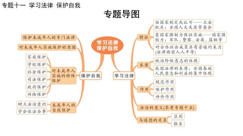 2024年广东省中考道德与法治一轮总复习 课件 专题一0一  学习法律  保护自我08