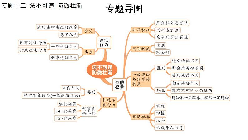 2024年广东省中考道德与法治一轮总复习课件 专题一0二  法不可违  防微杜渐08