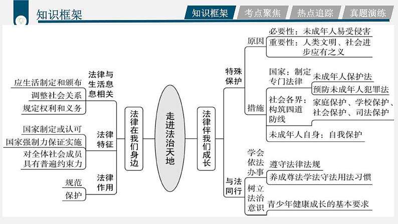 中考道德与法治一轮复习考点过关课件专题08 树立法律信仰（含答案）第4页