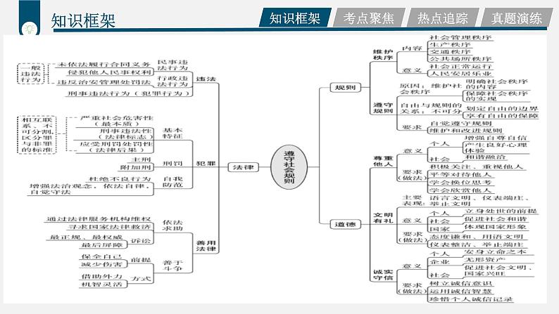 中考道德与法治一轮复习考点过关课件专题08 树立法律信仰（含答案）第5页