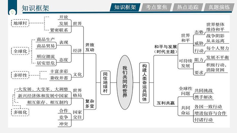 中考道德与法治一轮复习考点过关课件专题19 认识复杂多变的世界（含答案）04