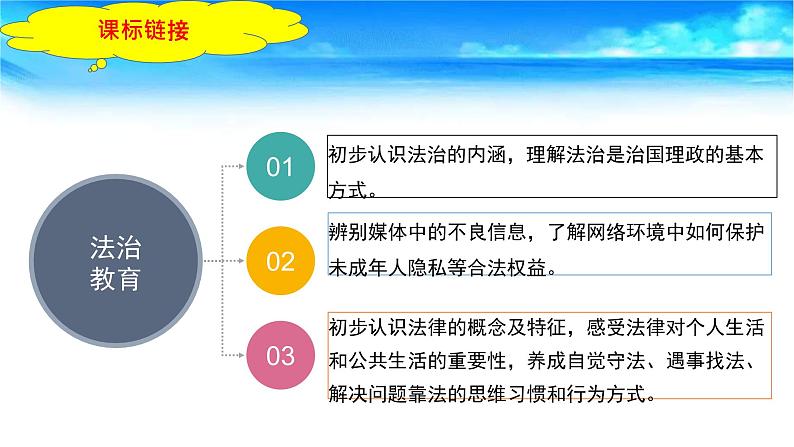 中考道德与法治一轮复习单元复习过关练课件专题08：走进法治天地（含答案）第3页