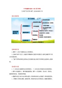 中考道德与法治一轮 复习学案 九下第三单元（含解析）