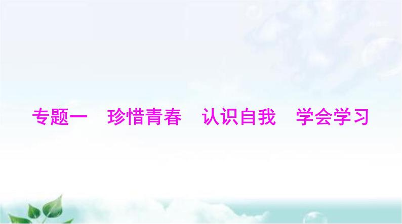 中考道德与法治总复习专题一珍惜青春认识自我学会学习课件第1页