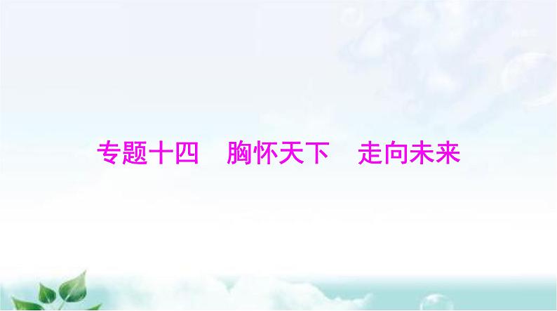 中考道德与法治总复习专题一0四胸怀天下走向未来课件第1页