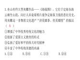 中考道德与法治复习第四章社会建设专题一3文化建设核心价值课件